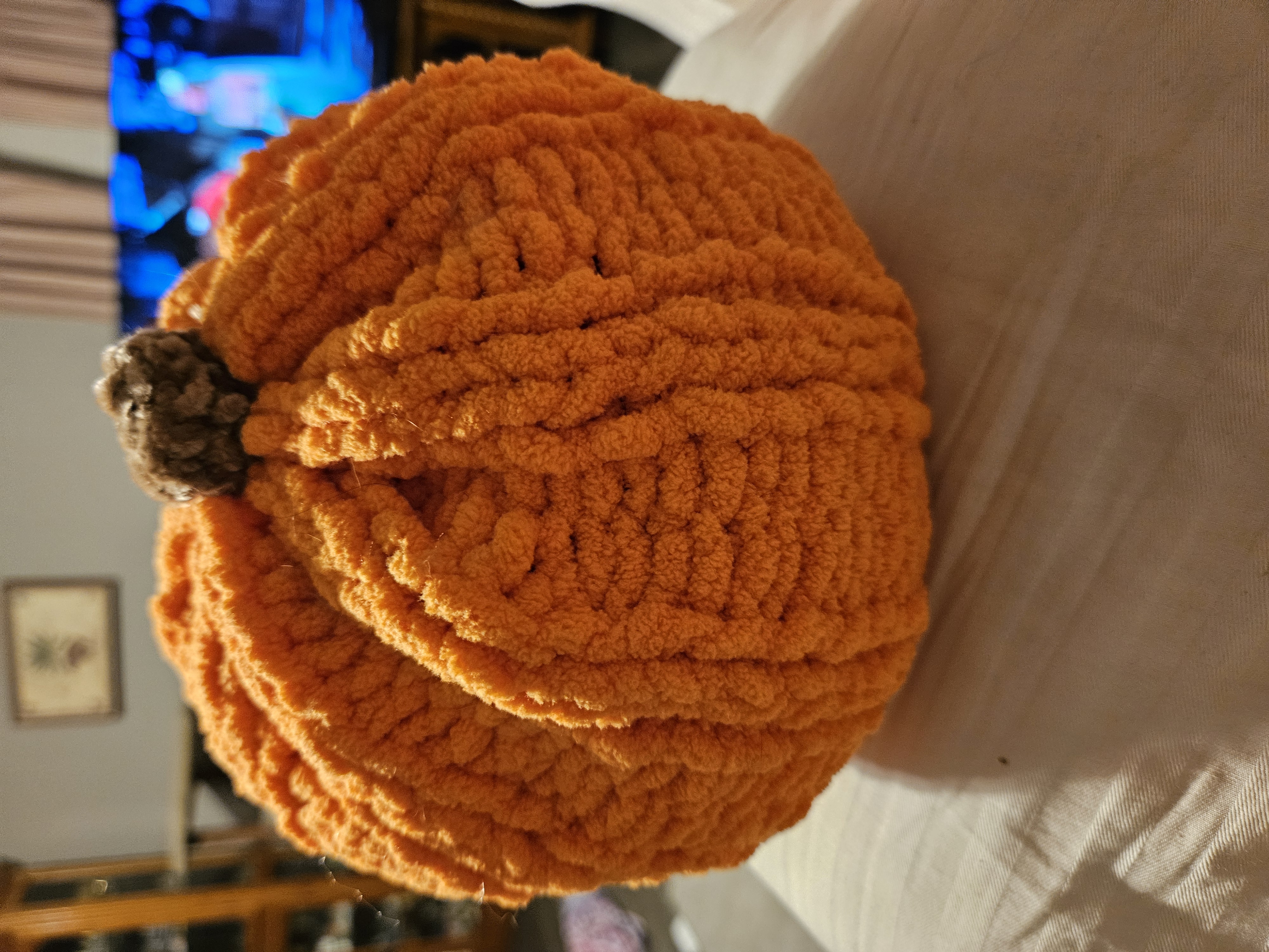 Large Fuzzy Pumpkin